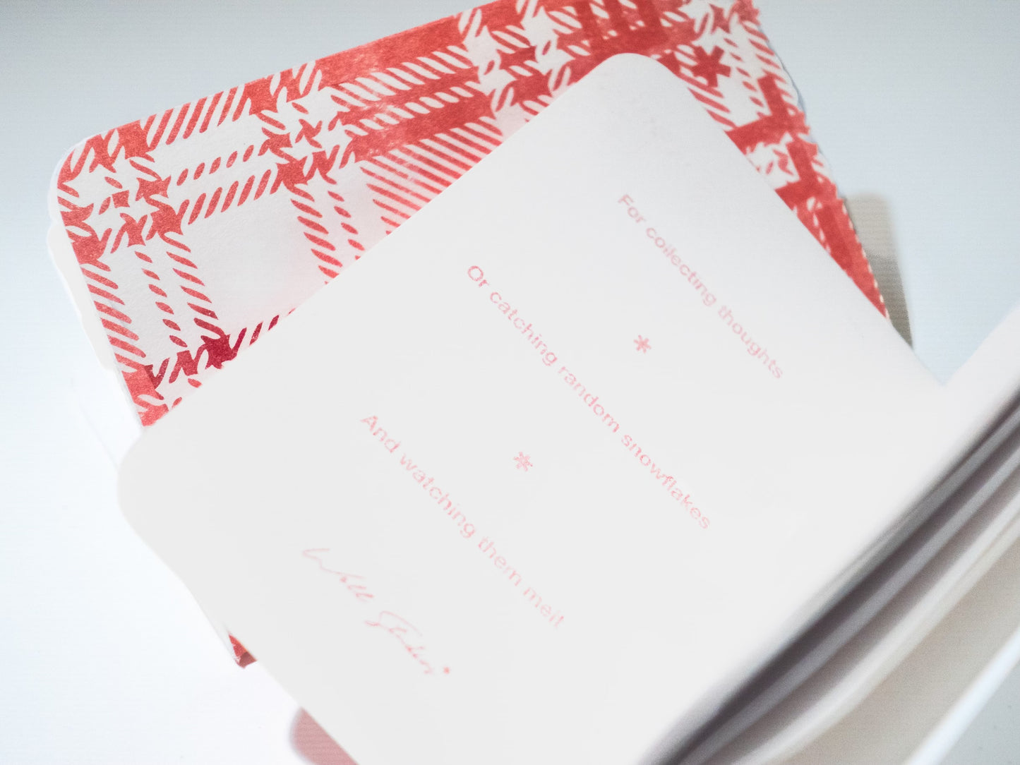 WS x Kaynines Pocket Book (3 Pack)