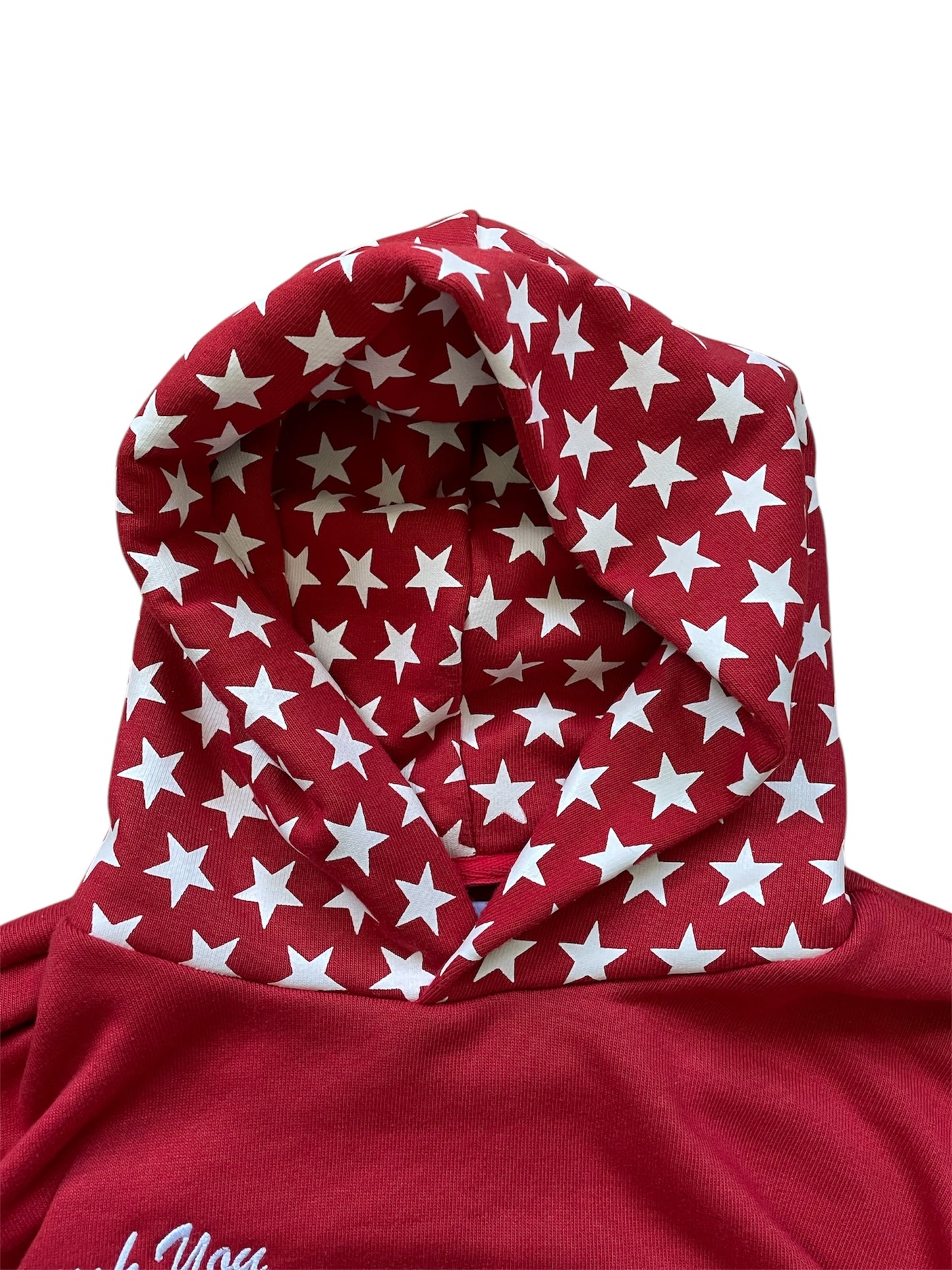 I Wish You Well Hoodie 1/1 Sample